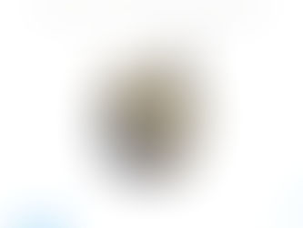 HONEYWELL STT170 SMART TEMPERATURE TRANSMITTER