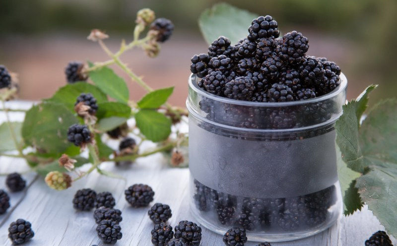 Superfood Saturday: Berries