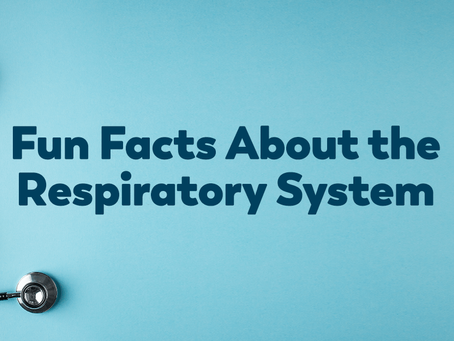 Fun Facts About the Respiratory System