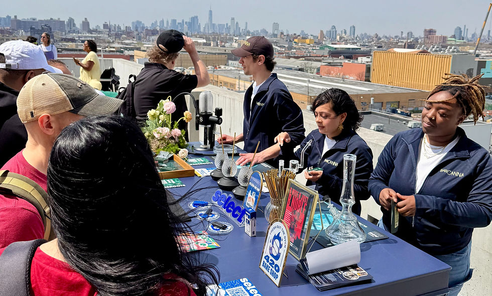 High angle view of a crowd enjoying a live music performance at a barcanna event