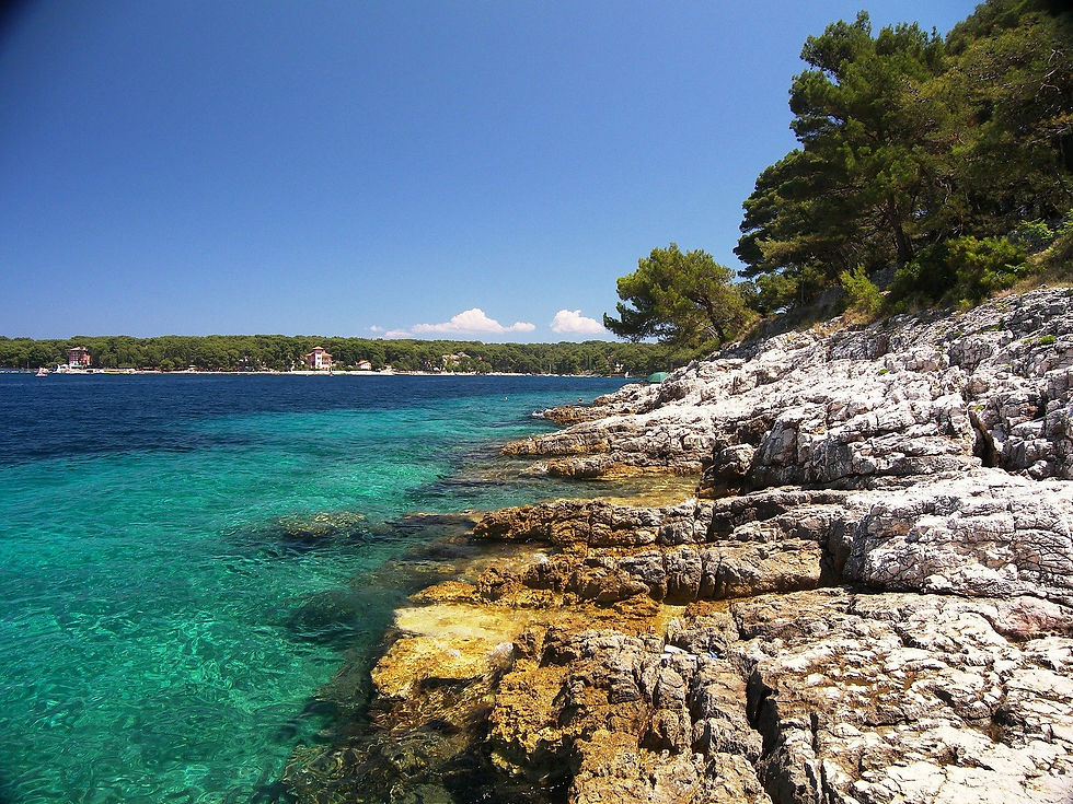 des criques paradisiaques