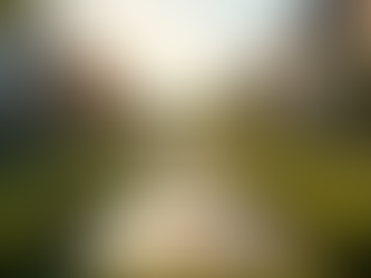 Luxury Real Estate Investments Creating Purposeful Communities