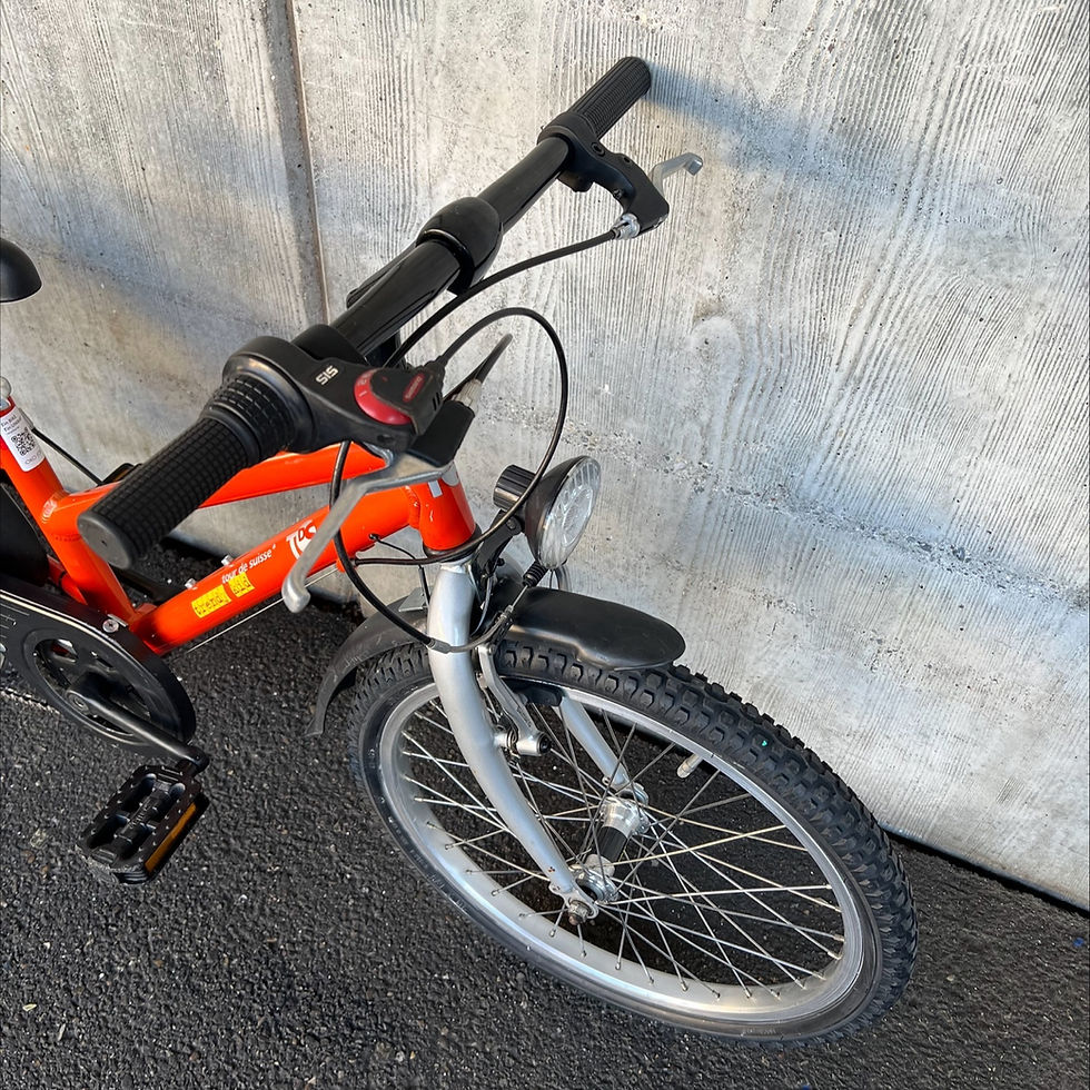 Miniaturbild: Kindervelo TDS Trendy Kid