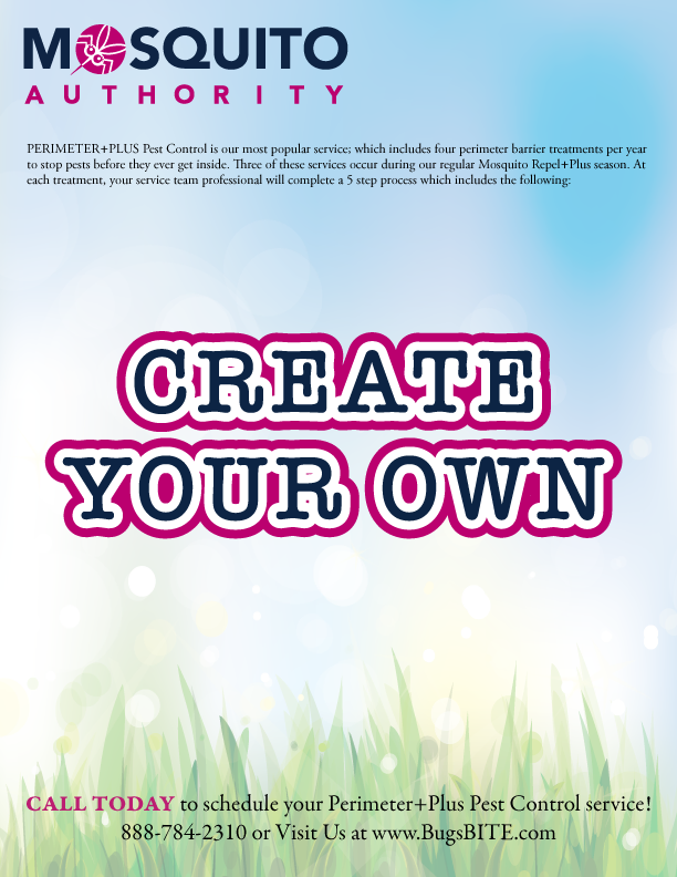 create your own flyer png