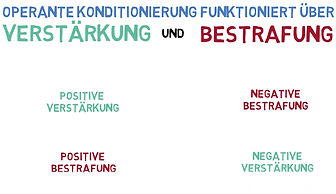 Kontingenzschema.jpg