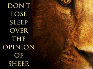 Lions vs. Sheep