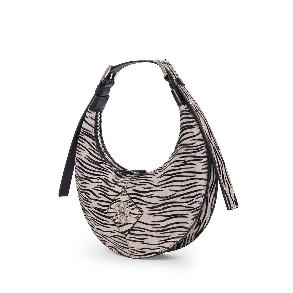 Thumbnail: AIDA ZEBRA