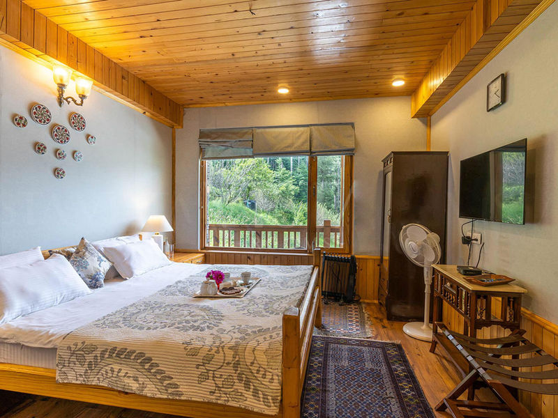 Wisteria House, Manali room 2