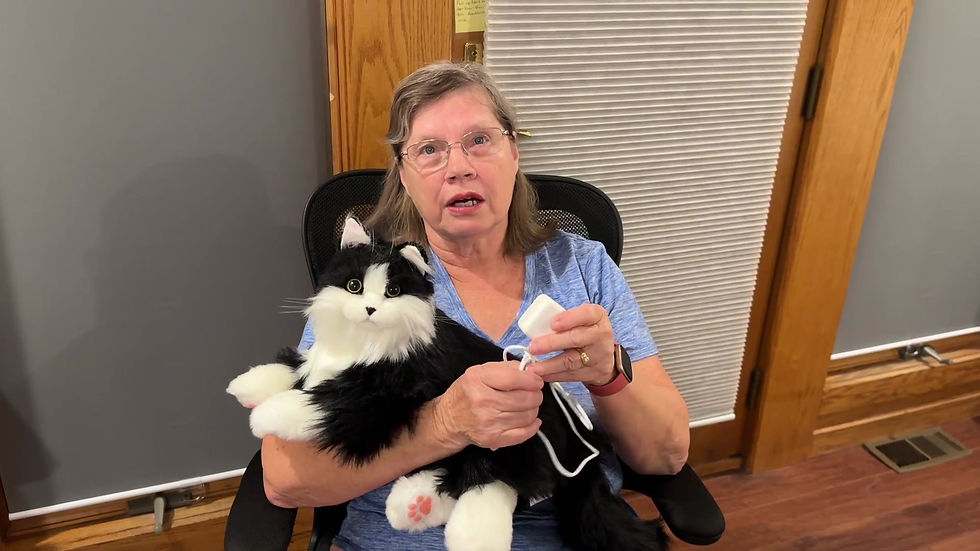 Miniatyrbild: Percy Kitten 1.1 (Black and White)