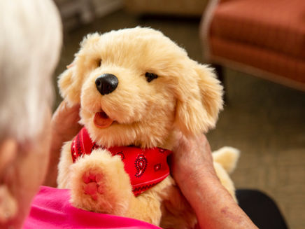 8 Benefits of Robotic Companion Pets