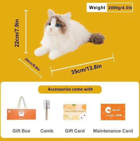 Miniatura: Cuddles - Weighted Ragdoll Cat