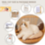 Pikkukuva: Matecat (Princess) Robotic Pet