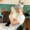 Miniature : Metacat Ragdoll Cat