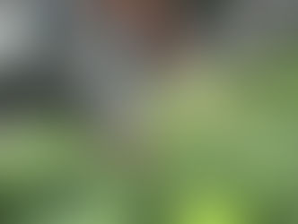 TALLERES AGOSTO 2015 EN HUERTO HADA VERDE