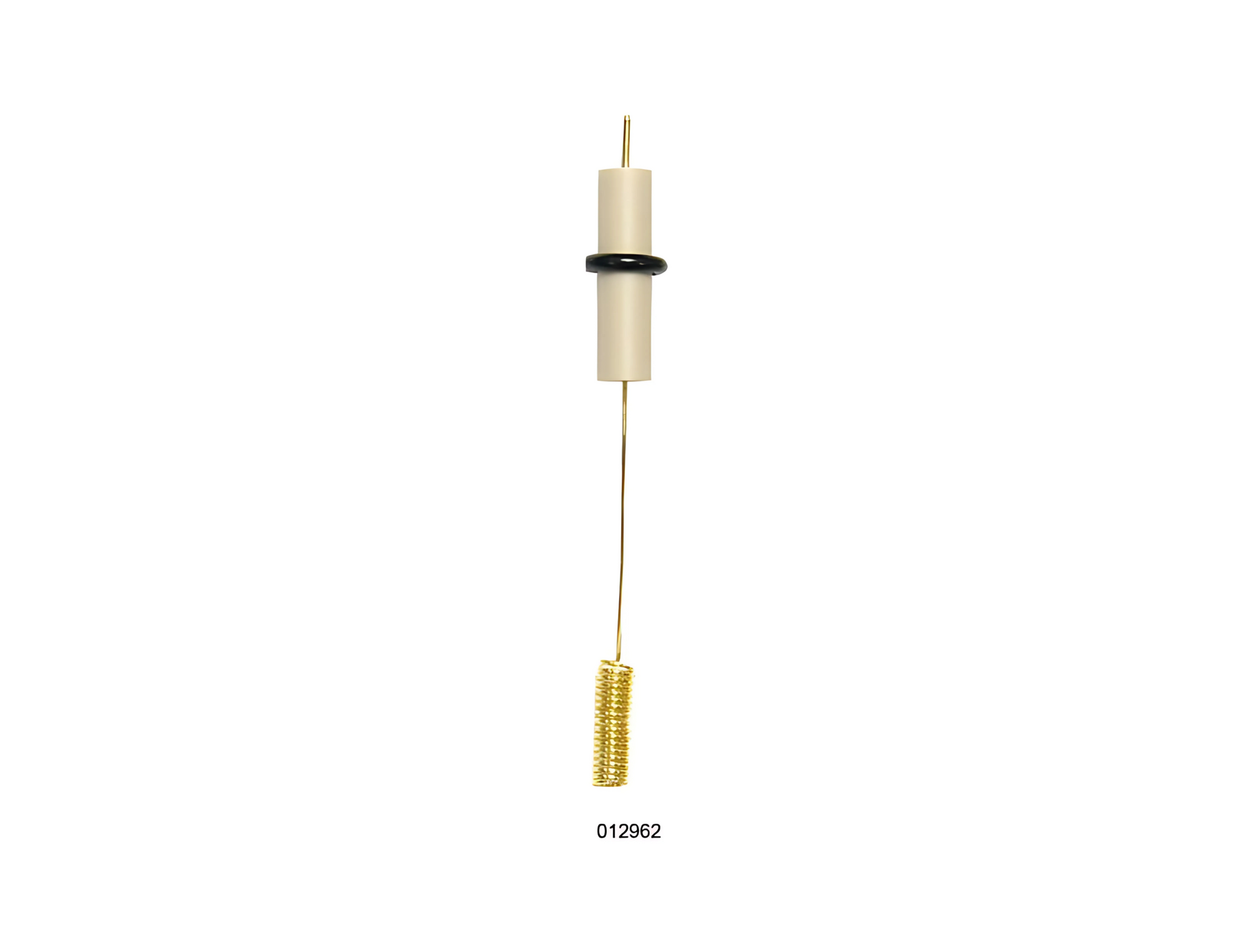 012962	Gold counter electrode 23 cm