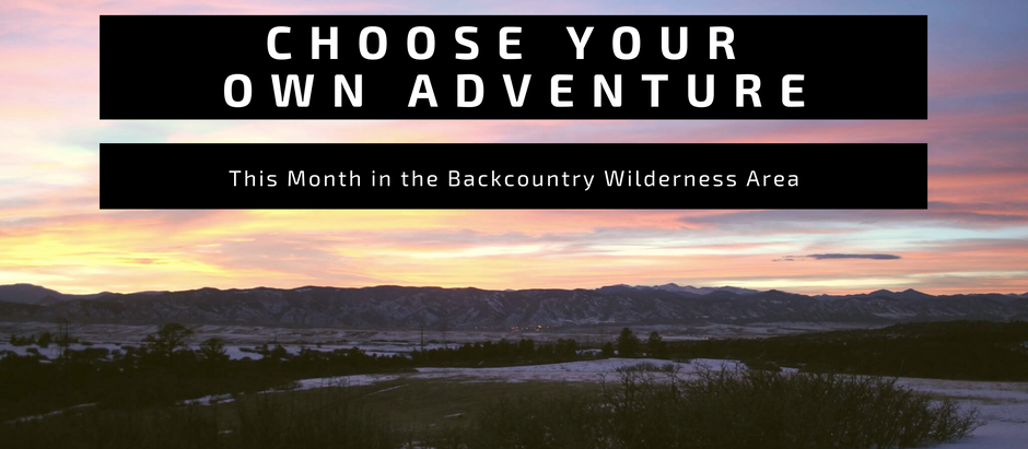 Choose Your Adventure: January 2021