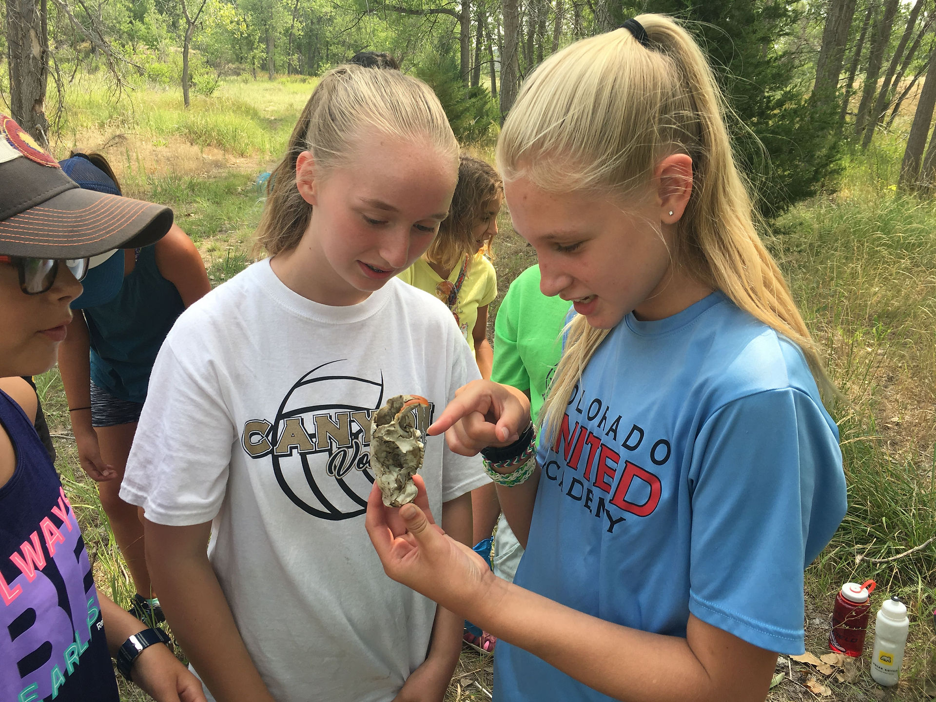 Girls inspecting an animal skull at summer camp.