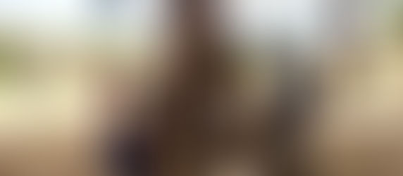 Stay Healthy, Stay Wild