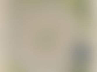 FG College sponsors the Cartographers’ Guild’s May Map Challenge