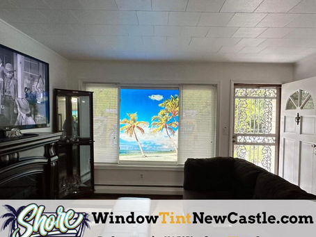 Enhancing the Appeal of Your Property with Decorative Window Films