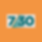 730 REPORT PROTECTIVE GROUP
