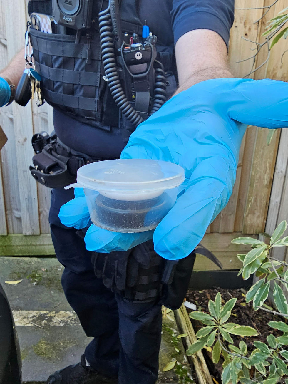 Counter Surveillance Protective Group