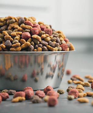 Dog Food