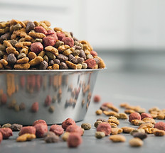 dog food