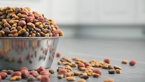 Dog Food