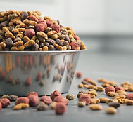 dog food