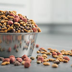 dog food