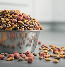 Dog Food
