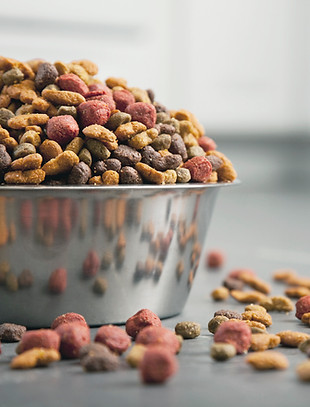 Dog Food