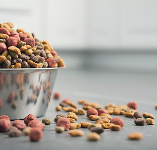 Dog Food