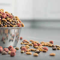 Dog Food