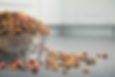 Dog Food Bowl