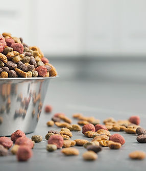 Dog Food