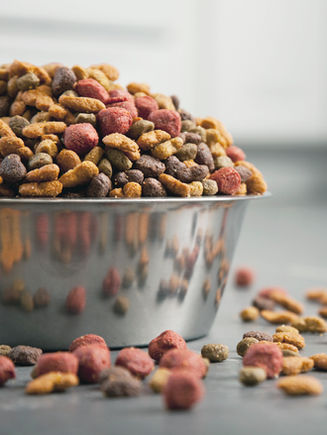 Dog Food