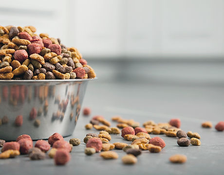 dog food