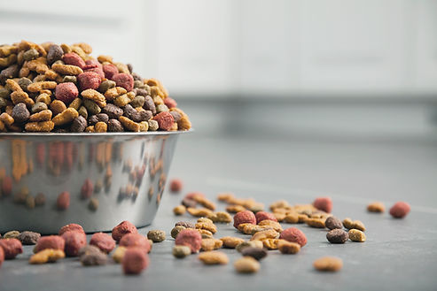 Dog Vitamins And Mineral Supplements in a bowl
