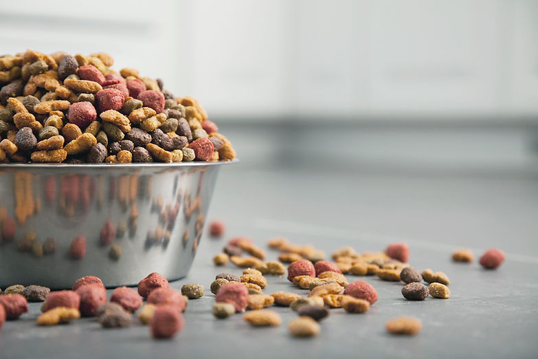 dog food