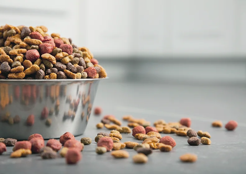 dog food