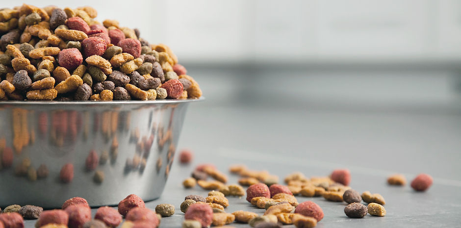 dog food
