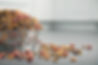 Dog Food