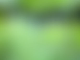 重生的必须(莱尔)