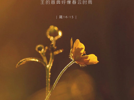 基督是圣徒的力量（威廉·葛诺）