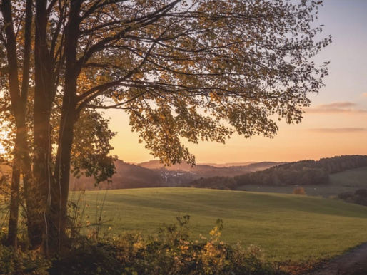信仰的深情(爱德华兹)