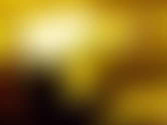 圣洁情感的榜样(爱德华兹)