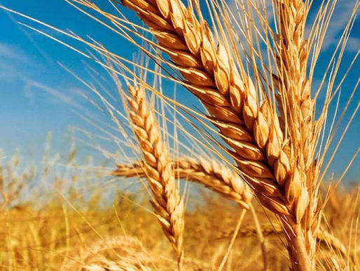 榜样的力量(莱尔)