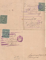 Билет на жит-во в СПб Иоффе.1901 г..ЦГИА